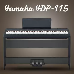  YDP-115مشخصات پیانو 